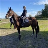 Filippa och Goliat